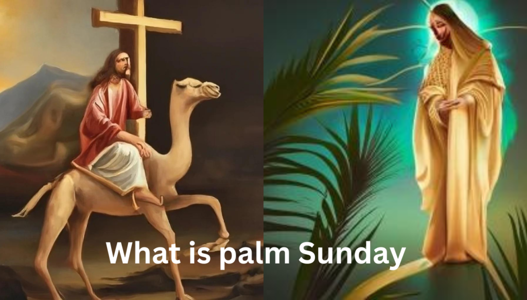 Palm Sunday 24 March, 2024: A Celebration and Reflection