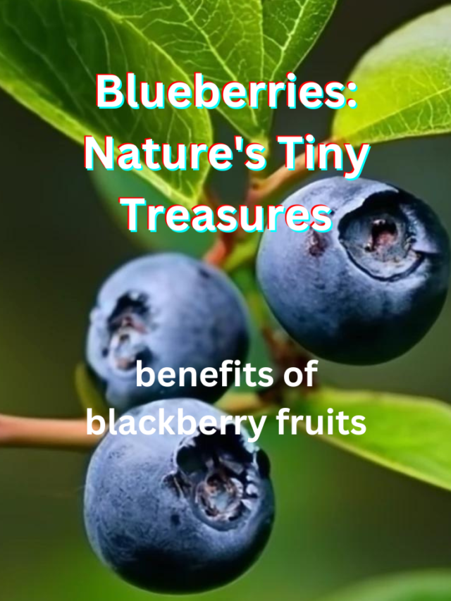 The Essence of Blueberries: Nature’s Tiny Treasures